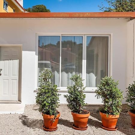 Sintra Studio Garden - Free Parking Eksteriør bilde